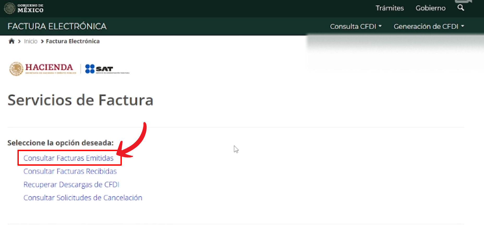 Consultar facturas emitidas Consultar facturas emitidas